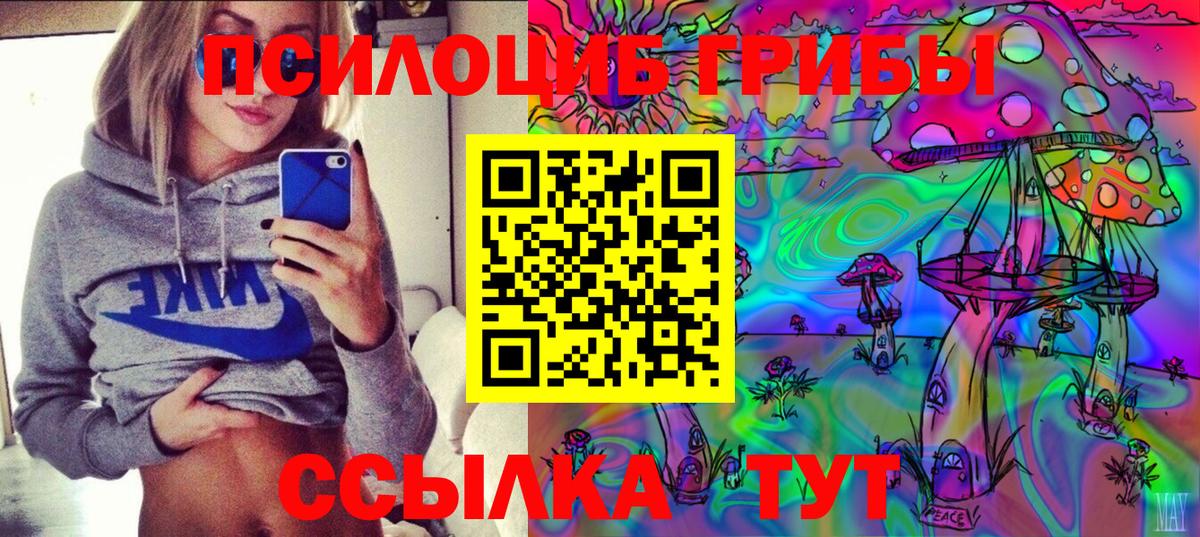 Галлюциногенные грибы Psilocybe  Вход с VPN  Миллерово 