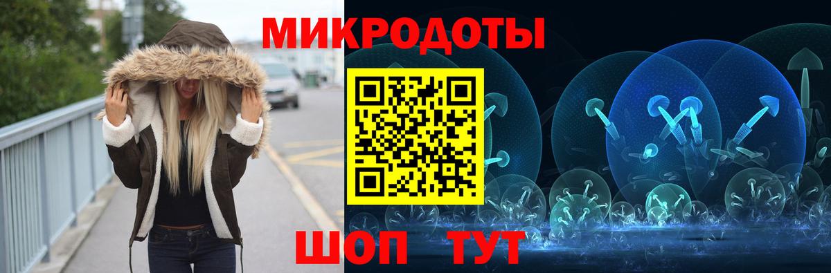 Псилоцибиновые грибы Psilocybe Миллерово